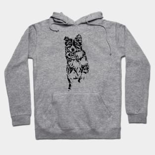 Border Collie Hoodie